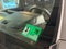 2025 Chevrolet Colorado 4WD Work Truck
