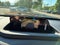 2026 Mazda Mazda CX-30 2.5 S Select Sport
