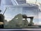 2026 Mazda Mazda CX-90 Premium Sport
