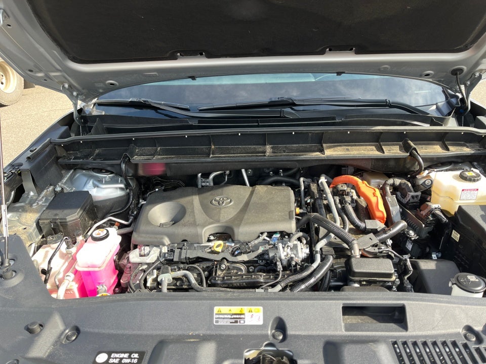 2025 Toyota HIGHLANDER HEV XLE