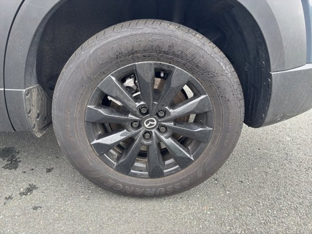 2025 Mazda Mazda CX-50 2.5 S Premium Package
