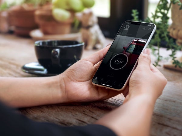 Flow Mazda of Charlottesville in Charlottesville VA