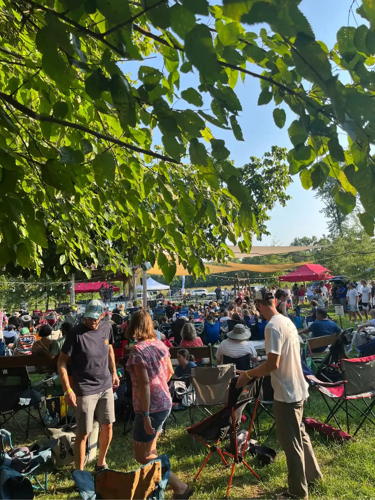 Flow Mazda of Charlottesville in Charlottesville VA