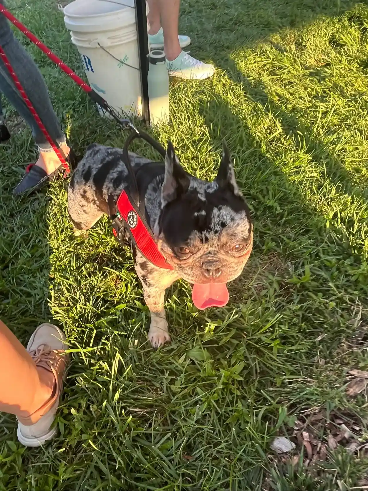 Flow Mazda of Charlottesville in Charlottesville VA