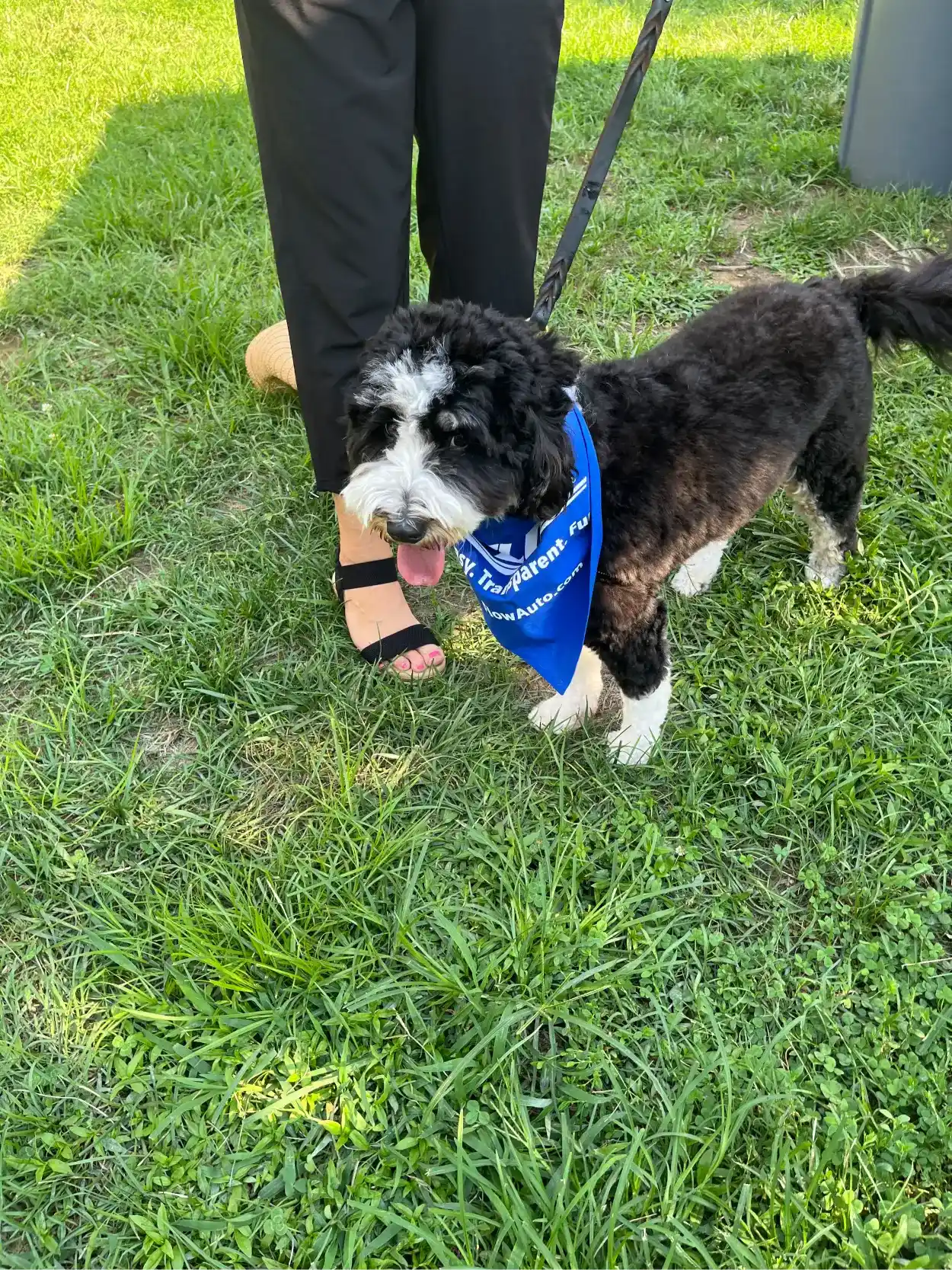 Flow Mazda of Charlottesville in Charlottesville VA