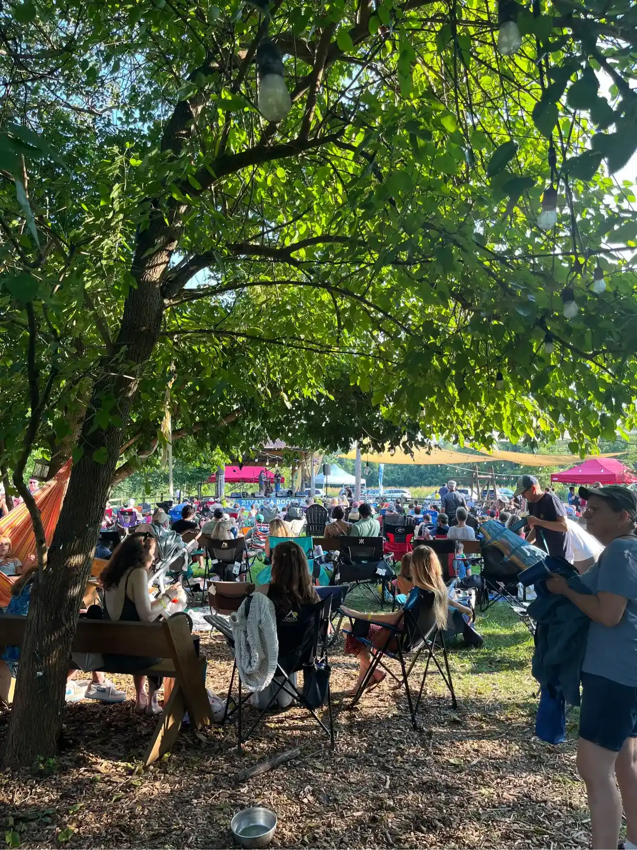 Flow Mazda of Charlottesville in Charlottesville VA